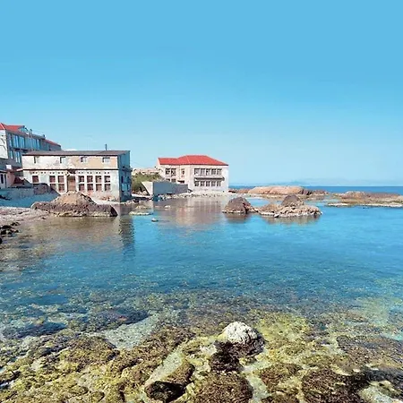 Microcosmos Halepas Ханья