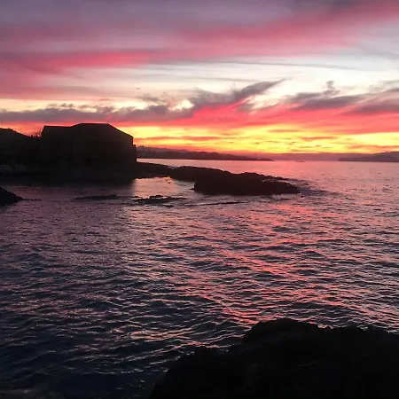 Microcosmos Halepas Hanya