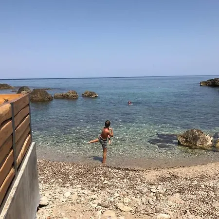 Microcosmos Halepas * Hanya