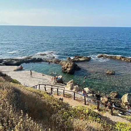 Microcosmos Halepas חאניה