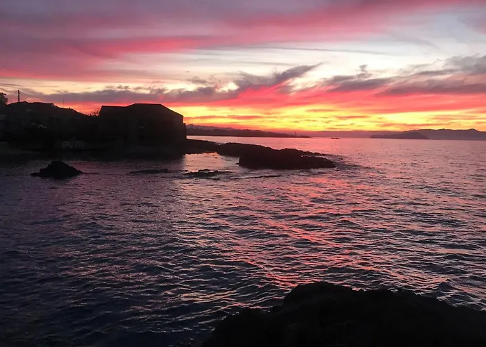 Microcosmos Halepas 하니아